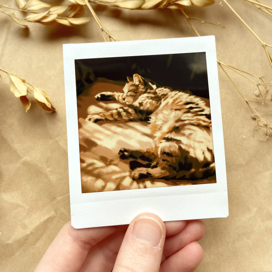 Nap Time Polaroid Print